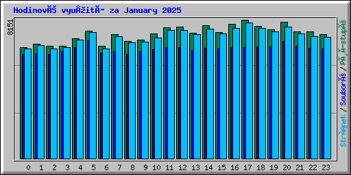 HodinovĂ© vyuÂľitĂ­ za January 2025